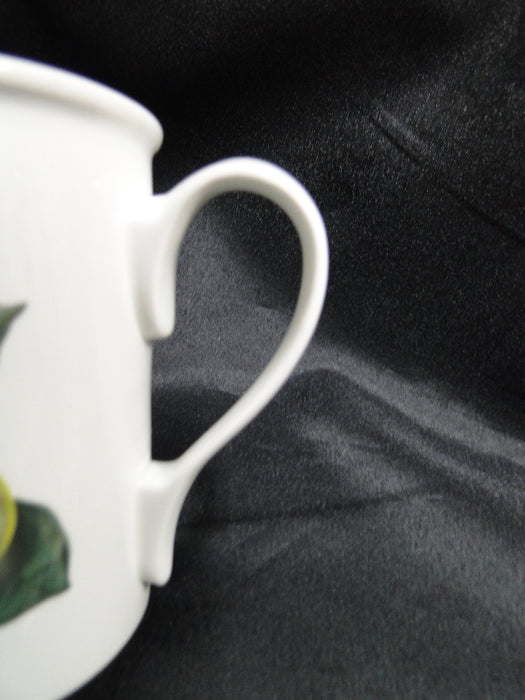 Portmeirion Pomona: Breakfast Mug, The Teinton Squash Pear, 3 5/8" Tall