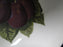 Portmeirion Pomona: Indiv Salad / Dessert Bowl, The Reine Claude Plum, 5 1/2"