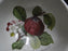 Portmeirion Pomona: Indiv Salad / Dessert Bowl, Hoary Morning Apple, 5 1/2"