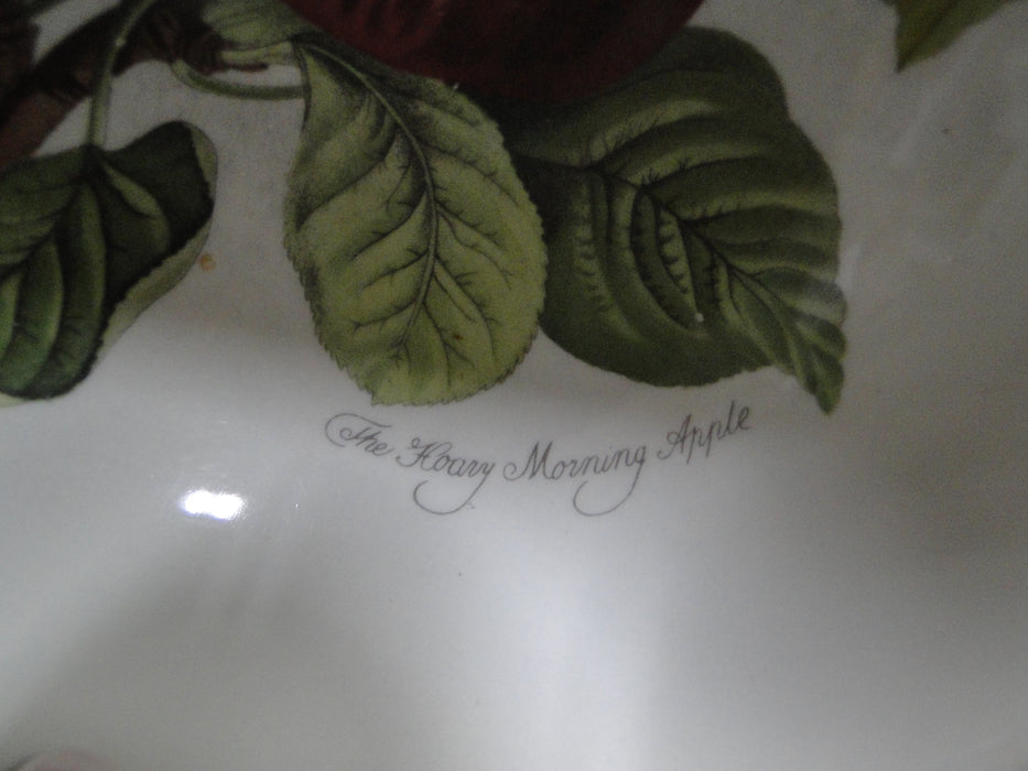 Portmeirion Pomona: Indiv Salad / Dessert Bowl, Hoary Morning Apple, 5 1/2"