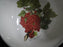 Portmeirion Pomona: Indiv Salad / Dessert Bowl, The Red Currant, 5 1/2"