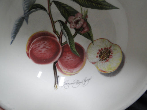 Portmeirion Pomona: Indiv Salad / Dessert Bowl, Grimwood's Royal George, 5 1/2"
