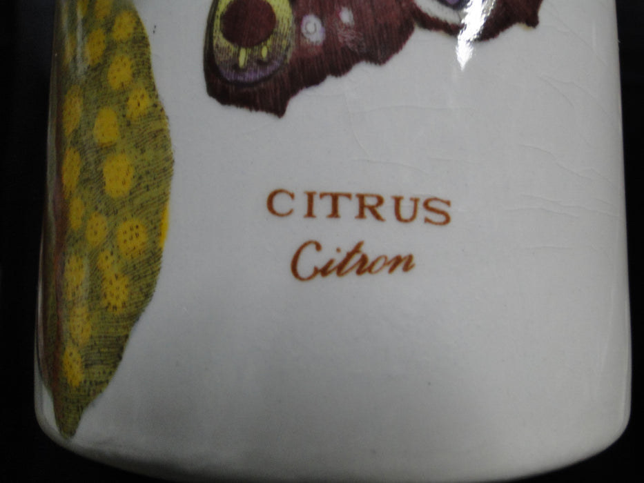 Portmeirion Botanic Garden: Storage Jar & Lid, Citrus, 5 3/8" Tall, Britain