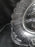 Gillinder Liberty Bell, 100 Years Ago, 1776, Names: Oval Platter, 13 1/2"