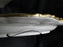 Fitz & Floyd Florentine Christmas: Serving Platter, 18" x 13 1/2"
