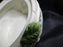 Fitz & Floyd Herb Garden: Round Covered Butter Dish, 5 3/8" x 4 3/4" Tall