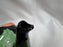 Fitz & Floyd Jungle Parrot, Multicolored Parrot: Teapot & Lid, 7" Tall, As Is
