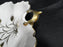 White w/ Golden Wheat, Gold Trim, Scalloped: Leaf Shaped Dish, 7 1/8"