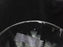 Waterford Crystal Powerscourt: Water or Wine Goblet (s), 7 5/8" Tall