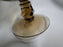 Fostoria Jamestown Brown: Champagne / Sherbet, 4" Tall, As Is