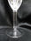 Marquis by Waterford Sonesta, Vertical Cuts: Champagne Flute, 9 1/8" Tall, As Is