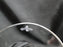 Waterford Crystal Millennium: Peace Champagne Flute, 9 1/4", Doves / Birds