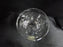 Atlantis Faro, Vertical & Circle Cuts: Highball / Tumbler (s), 5" Tall, Sticker