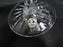 Rogaska Gallia, Gray & Polished Florals: Iced Tea (s), 9 5/8", Star Base