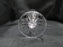 Rogaska Gallia, Gray & Polished Florals: Iced Tea (s), 9 5/8", Star Base