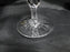 Rogaska Gallia, Gray & Polished Florals: Iced Tea, 9 5/8", Star Base, As Is