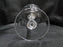 Rogaska Gallia, Gray & Polished Florals: Champagne / Sherbet (s), 7 1/8", X Base