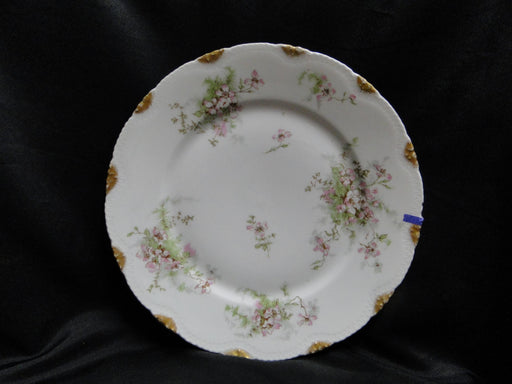 Haviland (Limoges) Schleiger 146, Gold Daubs: Dinner Plate (s), 9 7/8", As Is