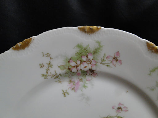 Haviland (Limoges) Schleiger 146, Gold Daubs: Dinner Plate (s), 9 7/8", As Is