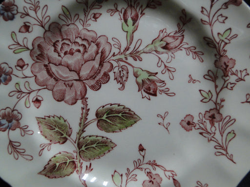 Johnson Brothers Rose Chintz, England: Bread Plate (s), 6"