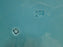 German Majolica Birds & Grapes 230, Blue: Luncheon Plate, 9 1/8", Wear