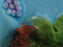 German Majolica Birds & Grapes 230, Blue: Luncheon Plate, 9 1/8", Wear