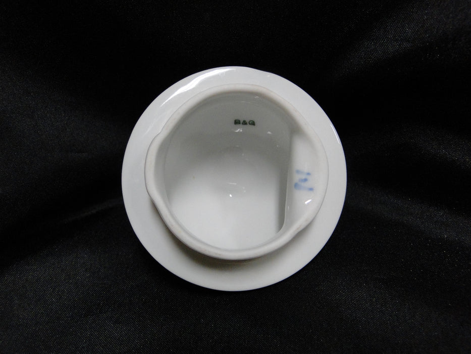 Bing & Grondahl Seagull: Coffee Pot & Lid, 9 3/4“ Tall, #301