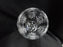 Waterford Crystal Millennium: Health Toasting Glass (es), 7 7/8", Flowers