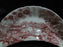 Royal Staffordshire Tonquin Red Pink, Scene: Crescent Bone Dish, 6 1/2" x 3"