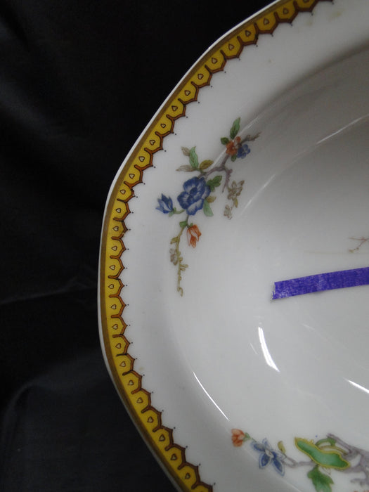 Haviland Eden, Birds & Flowers, Mustard Band: Oval Serving Bowl, As Is