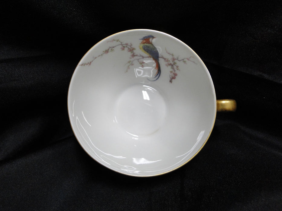 Haviland Eden, Birds & Flowers, Mustard Band: Cup & Saucer Set (s), 2"