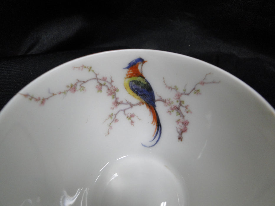 Haviland Eden, Birds & Flowers, Mustard Band: Cup & Saucer Set (s), 2"
