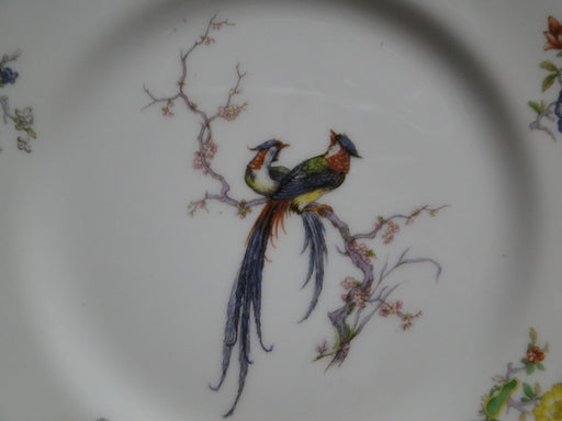 Haviland Eden, Birds & Flowers, Mustard Band: Dinner Plate, 9 1/2"