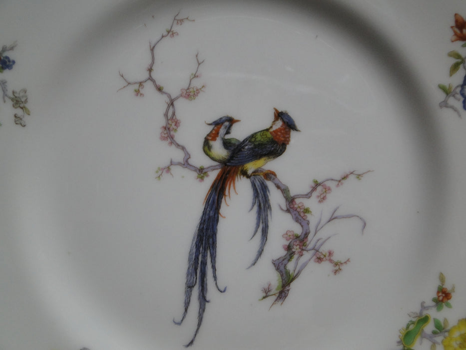 Haviland Eden, Birds & Flowers, Mustard Band: Dinner Plate, 9 1/2"