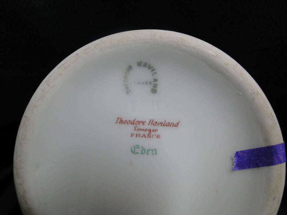 Haviland Eden, Birds & Flowers, Mustard Band: Coffee Pot & Lid, 7 1/4", As Is