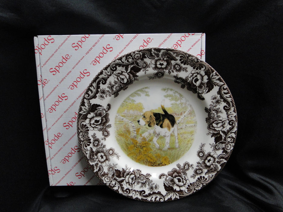 Spode Woodland Beagle Hunting Dog: Dinner Plate (s), 10 1/2", Box