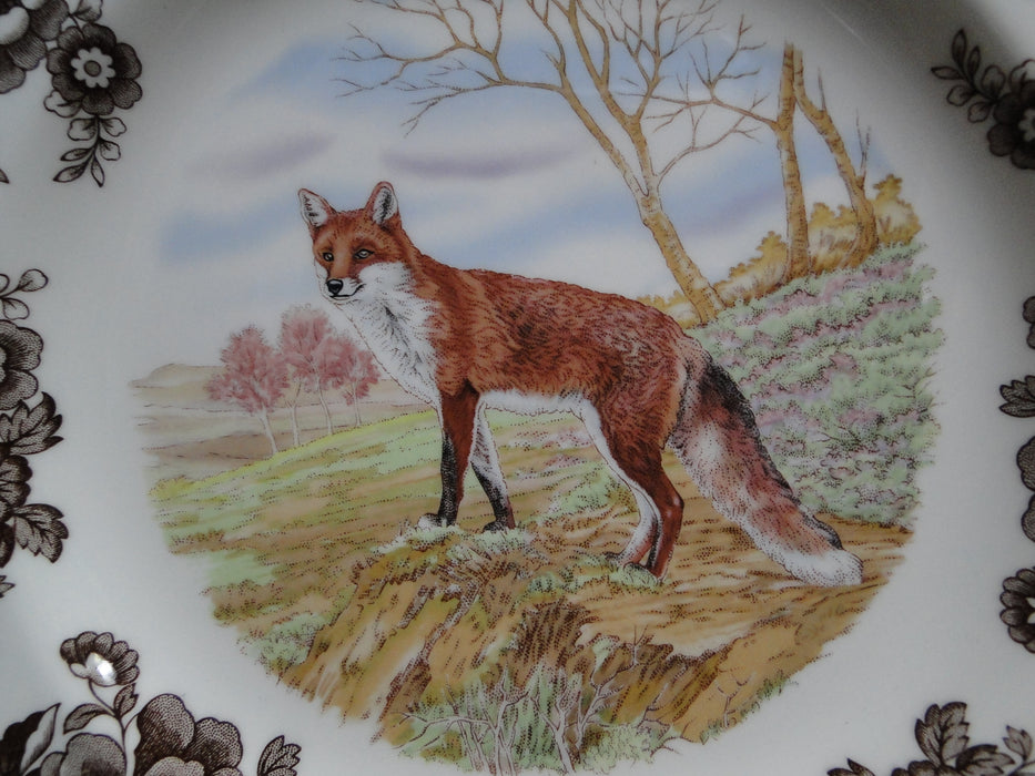 Spode Woodland Red Fox, England: NEW Dinner Plate (s), 10 1/2", Box
