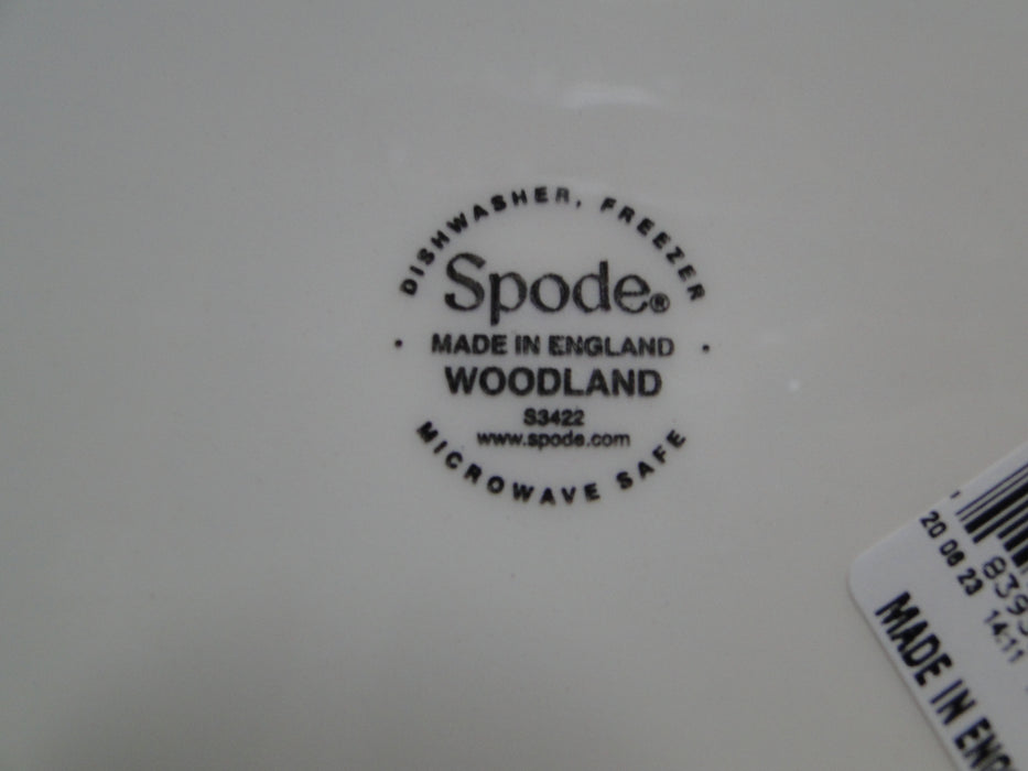 Spode Woodland North American Fish Rainbow Trout: Dinner Plate, 10 1/2", Flaw