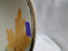 Franciscan October, USA, Fall Leaves: Cereal Bowl (s), 7", Nicks