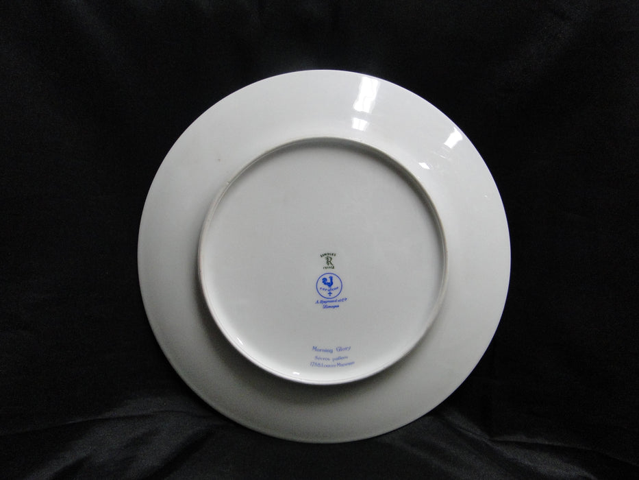 Raynaud Ceralene Morning Glory Sprays, Yellow Bands: Dinner Plate (s), 10 3/4"