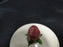 Franciscan Desert Rose, USA: Lid Only for Sugar Bowl, 2 1/2", As Is