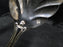 Tuttle Triumph, Sterling, 1994: Shell Sugar Spoon, 6" Long, Clinton