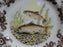 Spode Woodland North American Fish Rainbow Trout: Dinner Plate, 10 1/2", Flaw