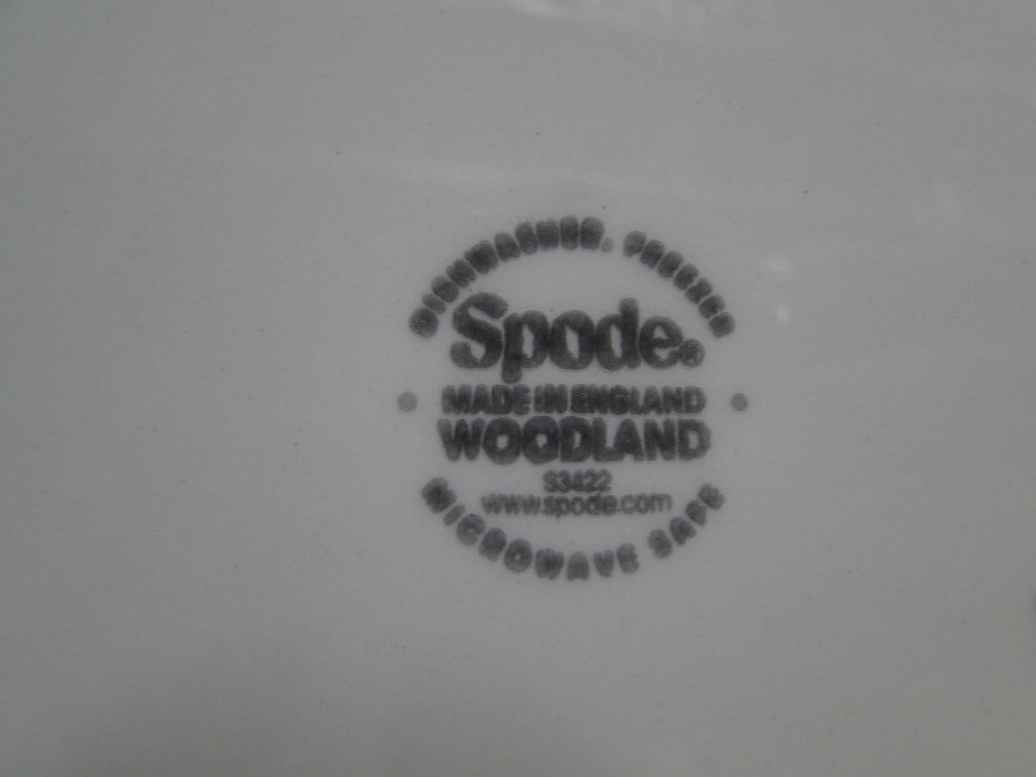 Spode Woodland North American Fish Rainbow Trout: Dinner Plate, 10 1/2", Flaw