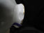Wedgwood Royal Lapis, Blue Laurel & Flowers: 3 1/8" Cup (s) Only, As Is