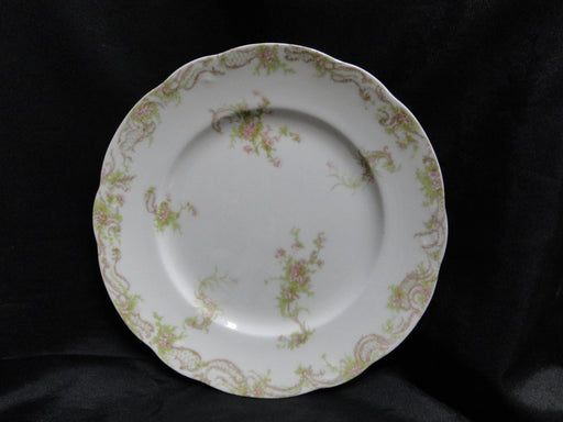 Syracuse 53203, Pink Flowers, Tan Lattice: Dinner Plate (s), 9 3/4", Wear