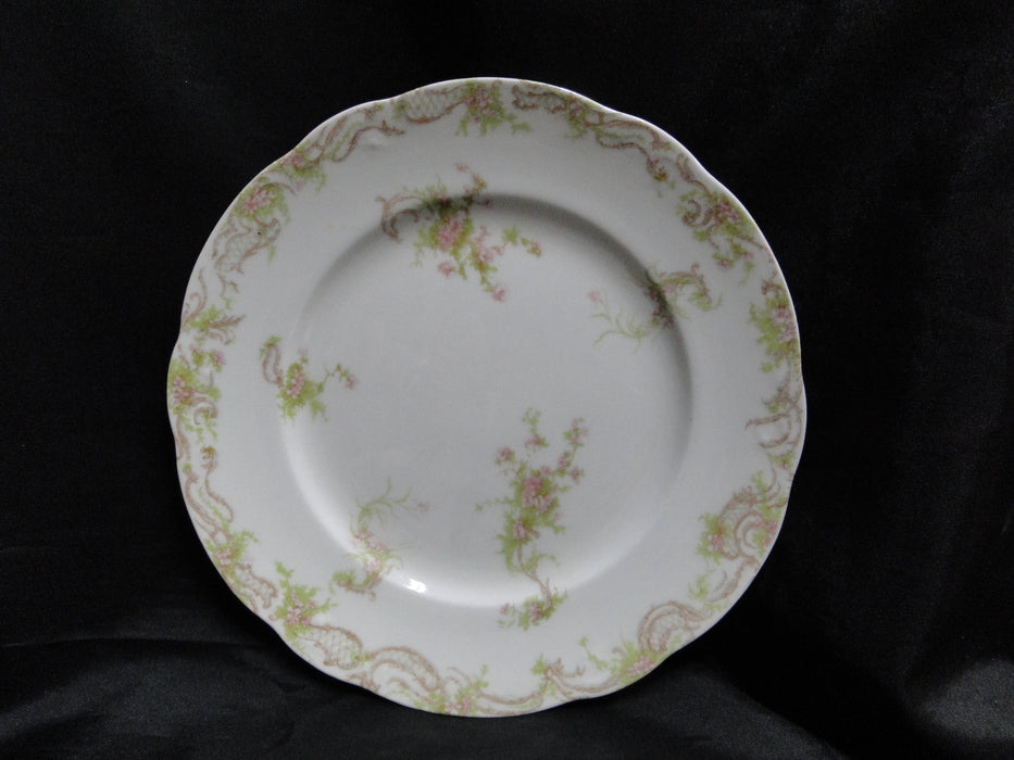 Syracuse 53203, Pink Flowers, Tan Lattice: Dinner Plate (s), 9 3/4", Wear