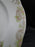 Syracuse 53203, Pink Flowers, Tan Lattice: Dinner Plate (s), 9 3/4", Wear
