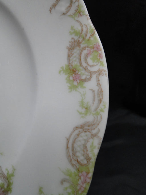 Syracuse 53203, Pink Flowers, Tan Lattice: Dinner Plate (s), 9 3/4", Wear