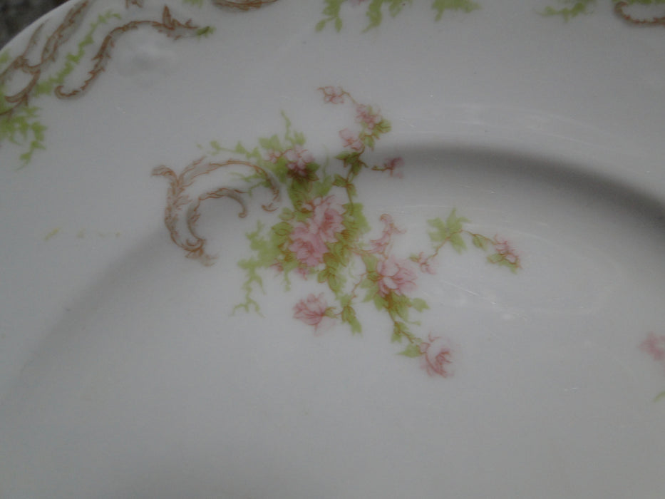 Syracuse 53203, Pink Flowers, Tan Lattice: Dinner Plate (s), 9 3/4", Wear